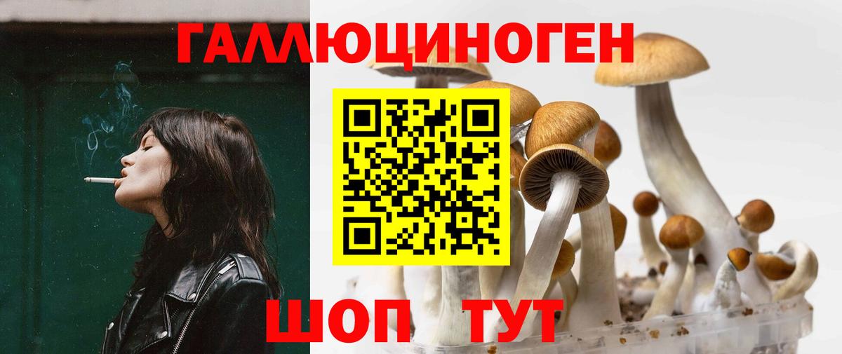 Псилоцибиновые грибы Psilocybe  Вход с VPN  Барнаул 